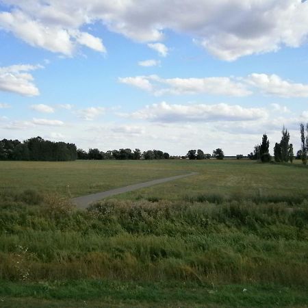 Alles Paletti Mit Klimaanlage Διαμέρισμα Wittenberg Εξωτερικό φωτογραφία